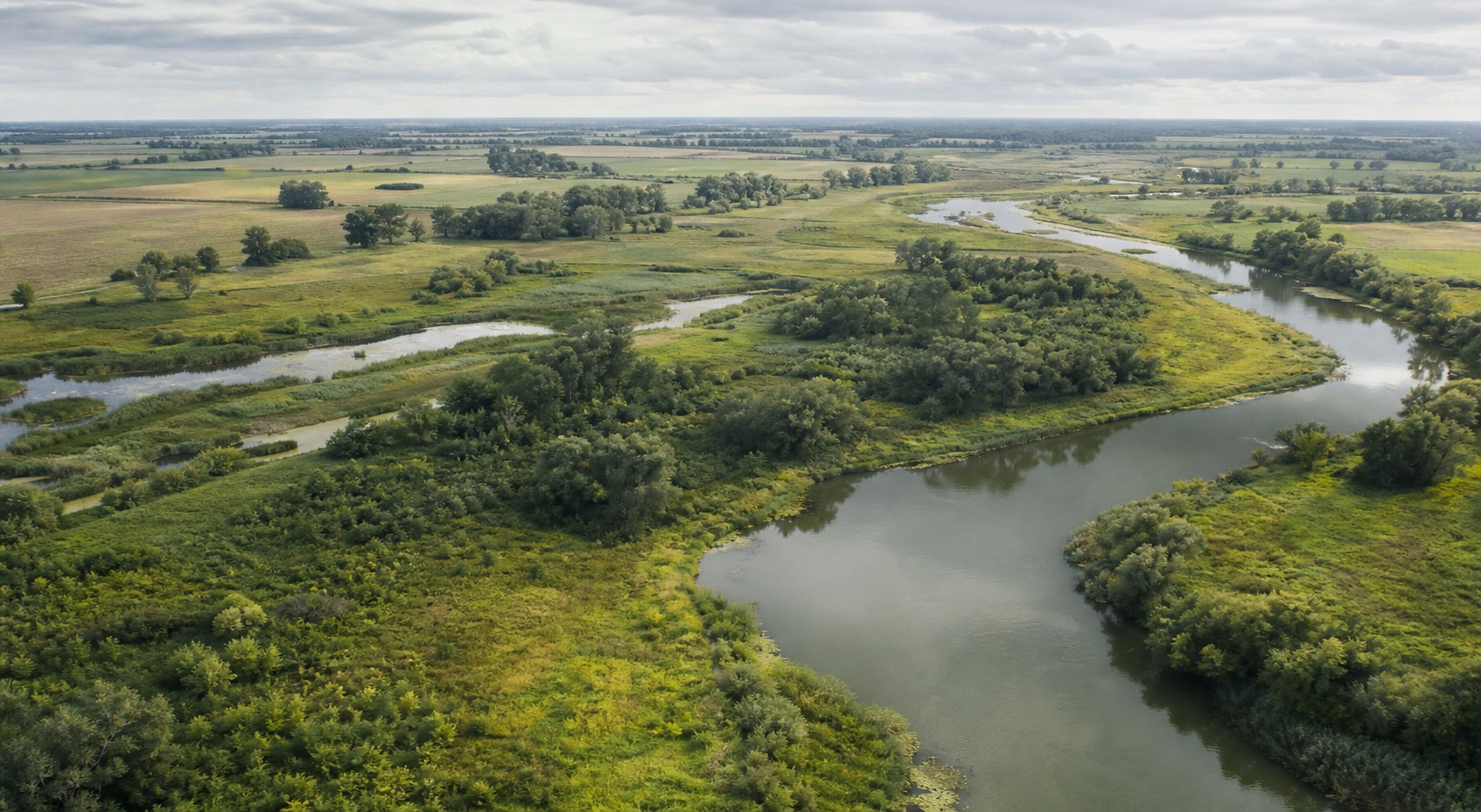 Luftaufnahme einer vielfältigen Flusslandschaft